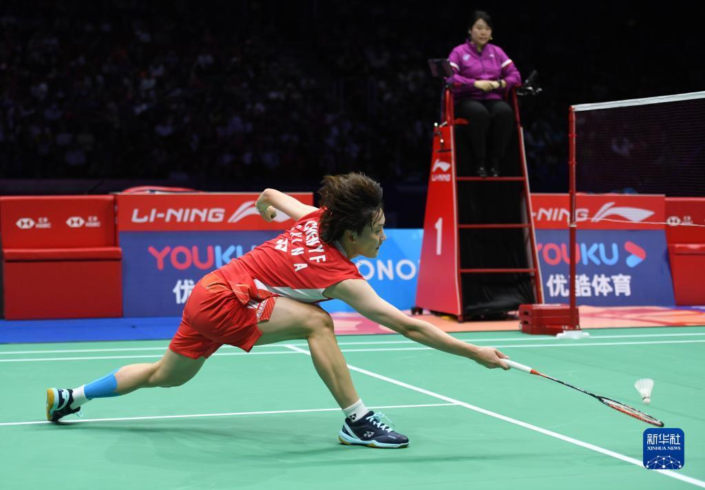 洲杯后续的 洲杯后续的